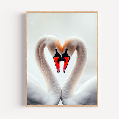 Póster Cisnes enamorados - Dos cuellos que forman un corazón