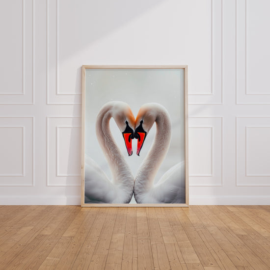 Poster Cygnes amoureux - Deux cous qui dessinent un cœur — Vierge - living-room