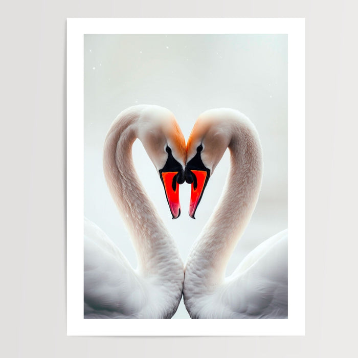 Poster Cygnes amoureux - Deux cous qui dessinent un cœur — Vierge - poster-presentation-produit — passe-partout blanc