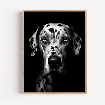 Black and white Dalmatian portrait poster