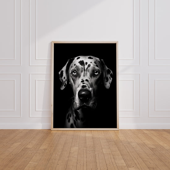Poster Dalmatien - Portrait noir et blanc plein d'élégance — Vierge - living-room