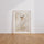 Poster Danseuse ballerine - Grâce délicate et rêves de scène chambre fille — Vierge - living-room — passe-partout blanc