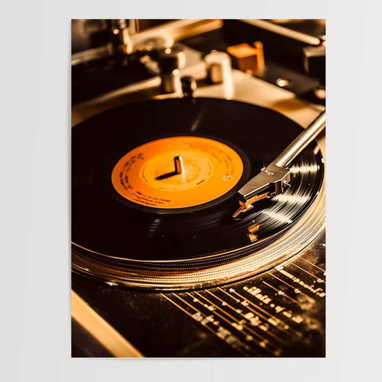 Poster Disque vinyle - Le voyage rétro d'une passion musicale — Vierge - poster-presentation-produit