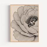 Poster Fleur botanique - Élégance gravée noir et blanc