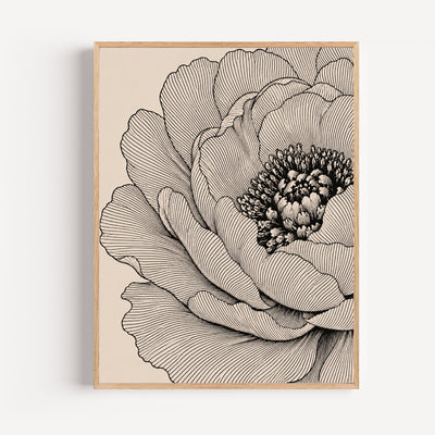 Poster Botanische Blume – Elegante Schwarz-Weiß-Gravur