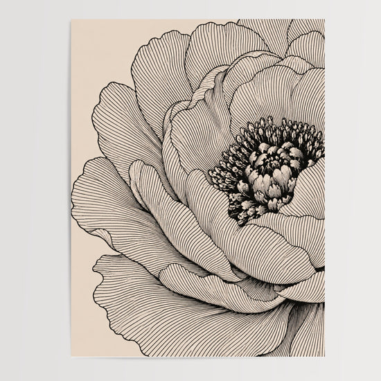 Poster Fleur botanique - Élégance gravée noir et blanc — Vierge - poster-presentation-produit