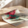 Poster Fleur de pêcher - Branche rose sur aquarelle turquoise — Vierge - poster-enroullé — passe-partout blanc