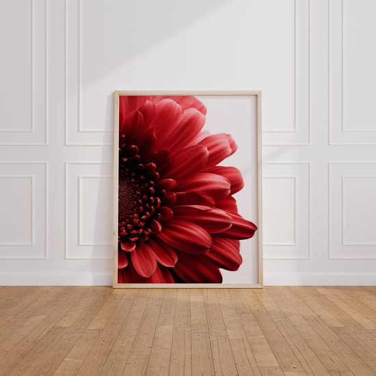 Poster Fleur rouge - Éclat passionné pour votre intérieur — Vierge - living-room