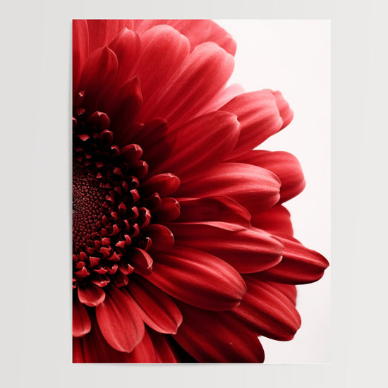 Poster Fleur rouge - Éclat passionné pour votre intérieur — Vierge - poster-presentation-produit