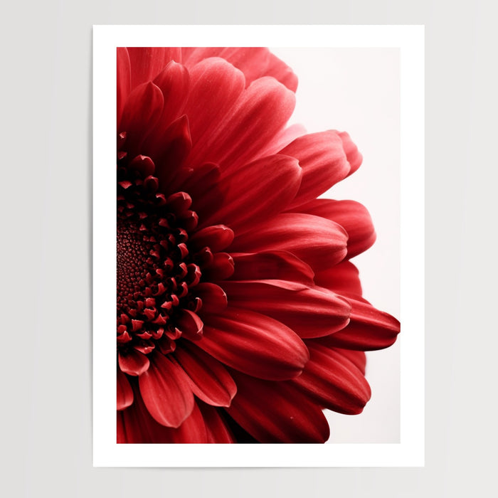 Poster Fleur rouge - Éclat passionné pour votre intérieur — Vierge - poster-presentation-produit — passe-partout blanc
