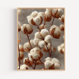 Poster Fleurs de coton - Un nuage de douceur naturelle