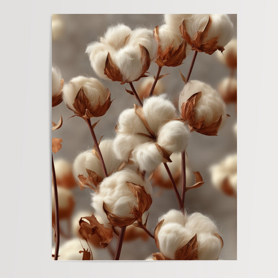 Poster Fleurs de coton - Un nuage de douceur naturelle — Vierge - poster-presentation-produit