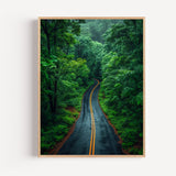 Poster Forêt - Sentier verdoyant et souffle de nature apaisante