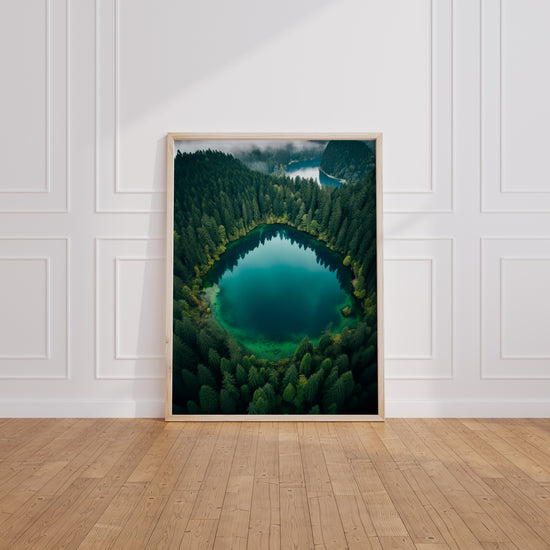 Poster Forêt verdoyante - Une échappée verte et apaisante — Vierge - living-room