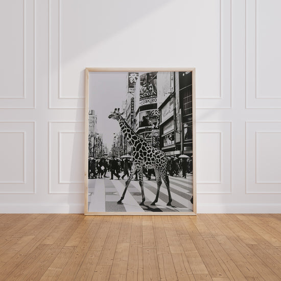 Poster Girafe urbaine - Rencontre insolite en noir et blanc — Vierge - living-room