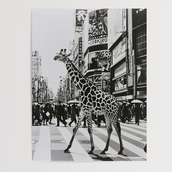 Poster Girafe urbaine - Rencontre insolite en noir et blanc — Vierge - poster-presentation-produit