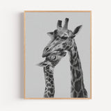 Poster Girafes - Douce étreinte entre une mère et son petit