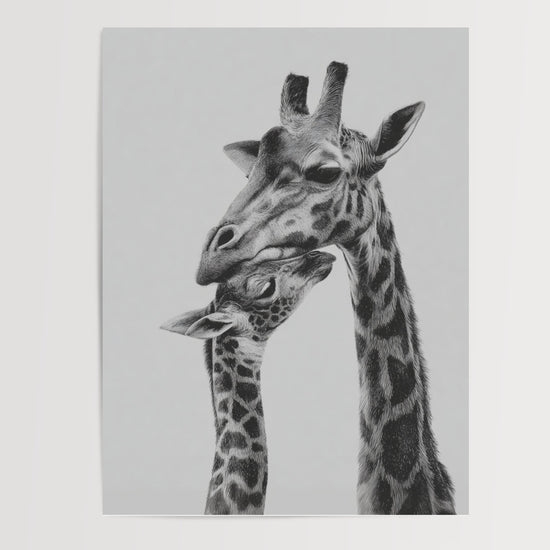 Poster Girafes - Douce étreinte entre une mère et son petit — Vierge - poster-presentation-produit