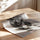 Poster Guépard en course - L'élégance sauvage en noir et blanc — Vierge - poster-enroullé — passe-partout blanc