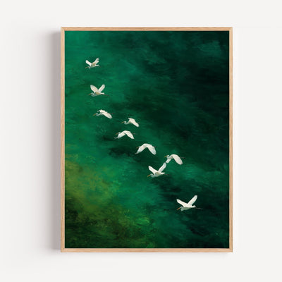 Poster witte reigers – Rustige vlucht over smaragdgroen water