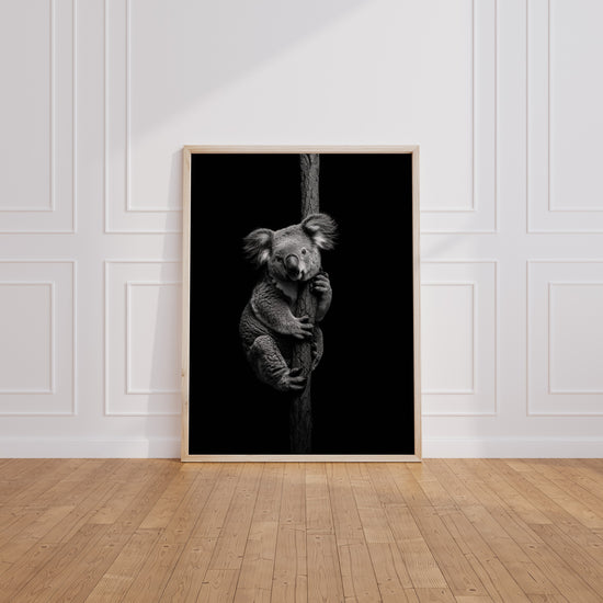 Poster Koala noir et blanc - Douceur paisible d'un regard tendre — Vierge - living-room