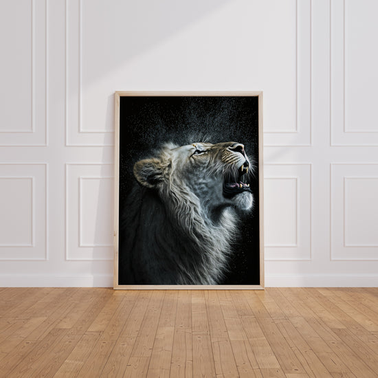 Poster Lion blanc - La force tranquille d'un rugissement royal — Vierge - living-room