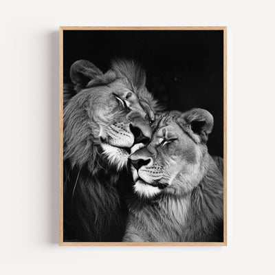 Poster Löwe & Löwin – Innige Umarmung in Schwarz-Weiß