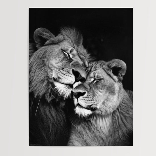 Poster Lion et Lionne - Étreinte complice en noir et blanc — Vierge - poster-presentation-produit