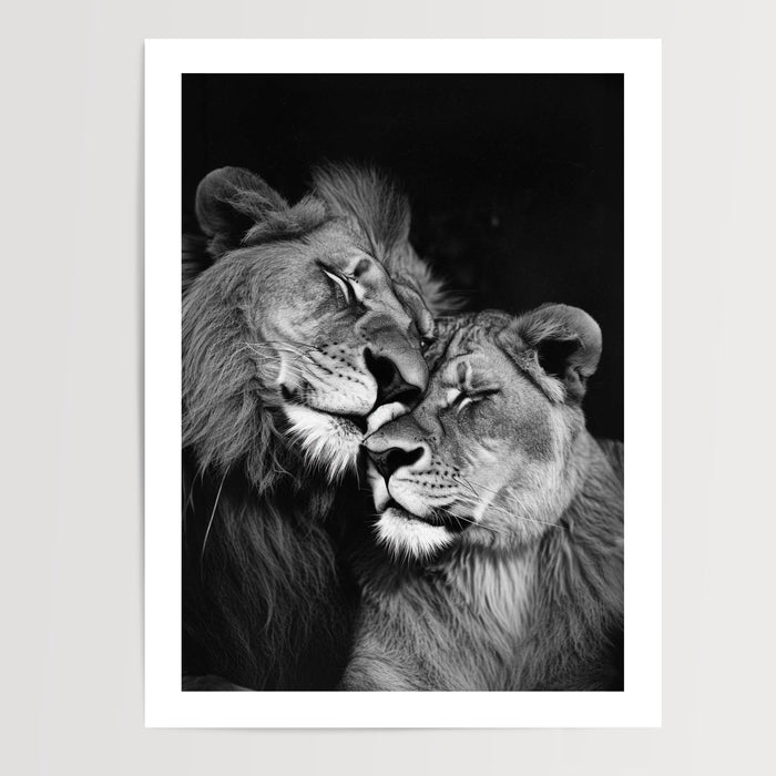 Poster Lion et Lionne - Étreinte complice en noir et blanc — Vierge - poster-presentation-produit — passe-partout blanc