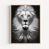 Poster Lion noir et blanc - Le regard puissant du roi des animaux