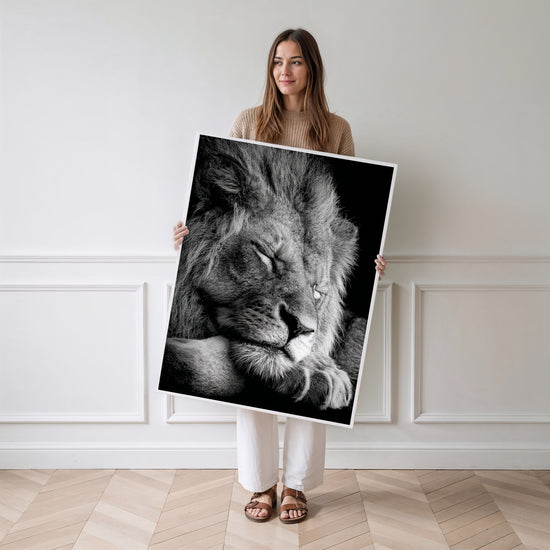 Poster Lion noir et blanc - Le repos d'un roi apaisé — Vierge - poster-femme-debout