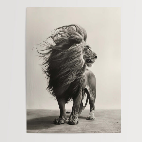 Poster Lion - Puissance tranquille et regard majestueux en noir et blanc — Vierge - poster-presentation-produit