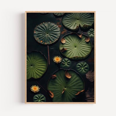 Poster Nénuphars - Douceur verte d'un plan d'eau paisible