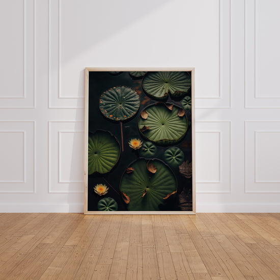 Poster Nénuphars - Douceur verte d'un plan d'eau paisible — Vierge - living-room