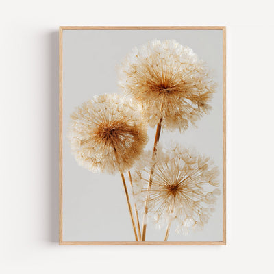 Poster Goldene Pusteblumen – Sanfter Windhauch