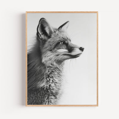 Poster Renard noir et blanc - Le regard perçant d'un esprit sauvage
