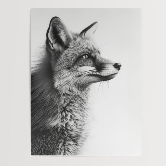 Poster Renard noir et blanc - Le regard perçant d'un esprit sauvage — Vierge - poster-presentation-produit