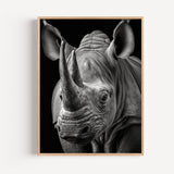 Poster Rhinocéros - Force brute en noir et blanc d'Afrique sauvage