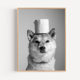 Poster Shiba Inu - Clin d'œil malicieux pour vos toilettes