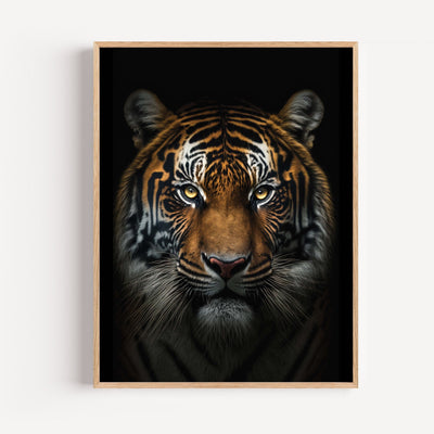 Tiger Wandbild – majestätischer Tiger mit durchdringendem Blick