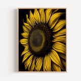 Poster Tournesol Op Art - Un soleil géométrique qui vibre