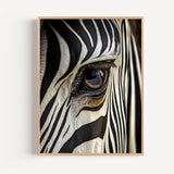 Poster Zèbre - Regard sauvage en noir et blanc
