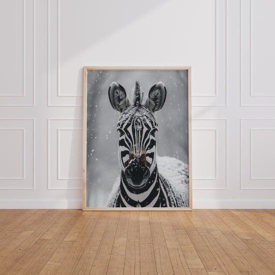Poster Zèbre sous la neige - Rencontre inattendue en plein hiver — Vierge - living-room