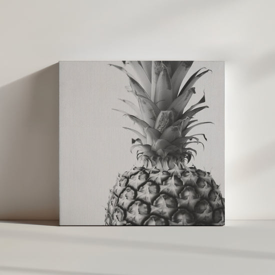 toile ananas monochrome, photographie fond blanc.