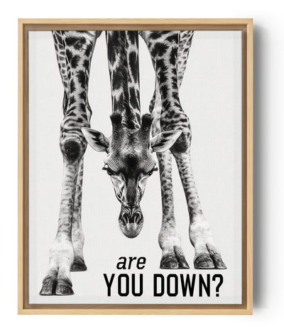 Cuadro de animales jirafa blanco y negro perspectiva original con mensaje are you down
