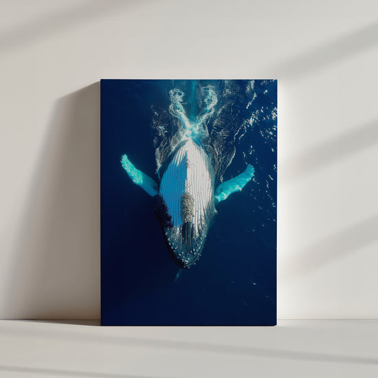 Whale swimming on its back, blue ocean photo