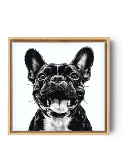 Square French Bulldog canvas print, realistic black and white drawing