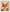 Tableau chambre bébé renard orange mignon étoiles dorées style doux illustration enfantine