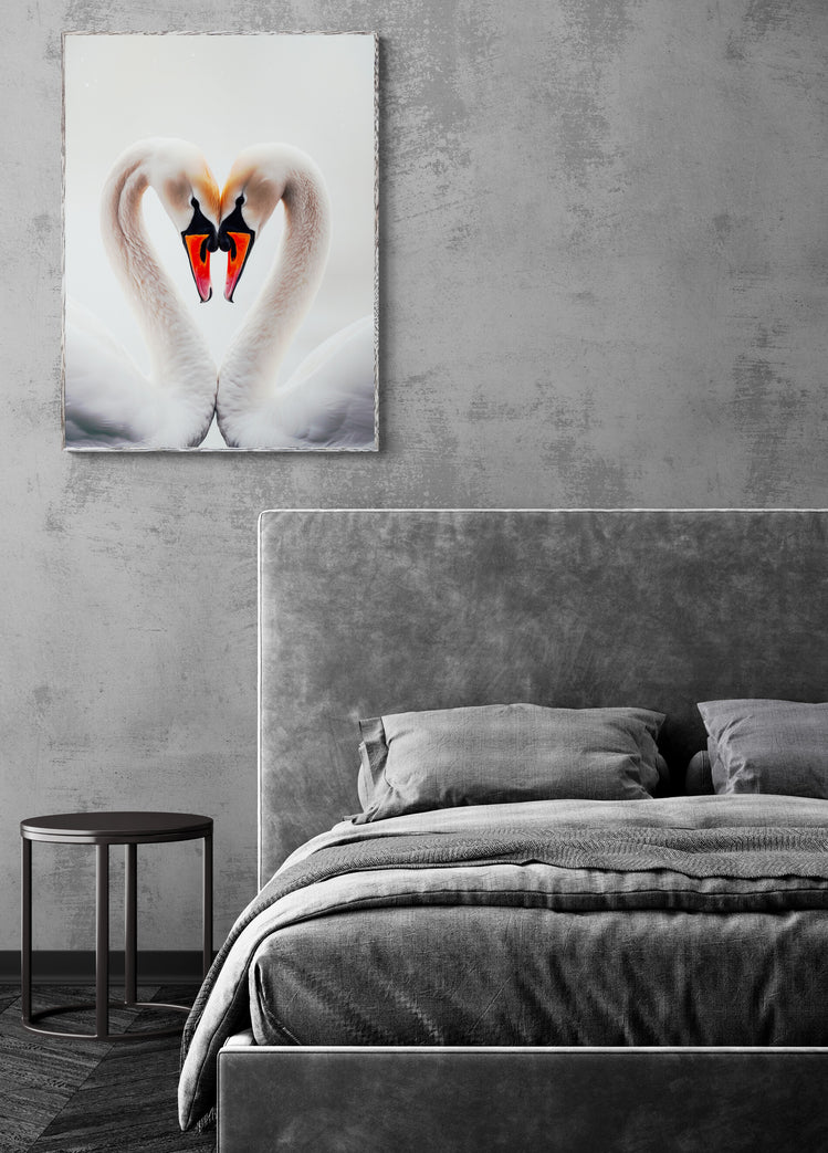 poster encadrer de deux cygnes en cœur dans une chambre minimaliste grise.