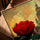Tableau rose rouge cité féerique pour salon cadre chêne doré